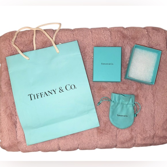Tiffany & Co. Signature Blue Set of Pouch, Box, and Shopping Bag - Picture 2 of 5